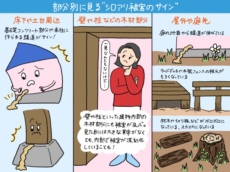 建物の部分別に見る“シロアリ被害のサイン”