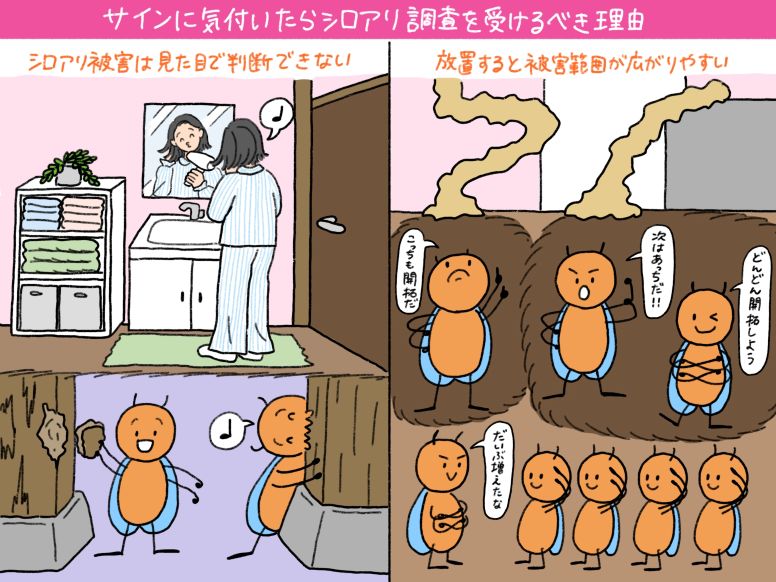 サインに気付いたら専門業者からシロアリ調査を受けるべき理由