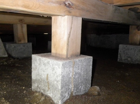 シロアリの蟻道ができた建物の床下の土台