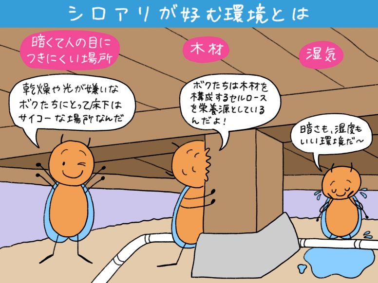 シロアリが好む環境
