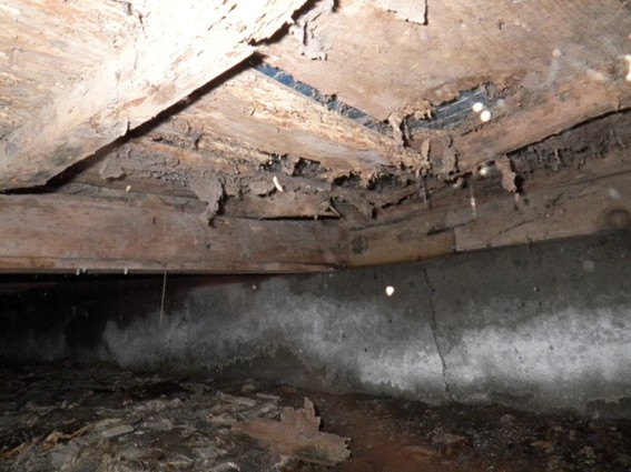 シロアリ被害にあった建物の床下