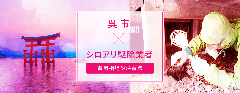 呉市✕シロアリ駆除 駆除費用の相場や注意点