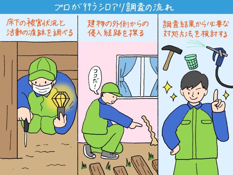 プロが行うシロアリ調査の流れ