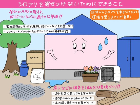 シロアリを寄せ付けないためにできること