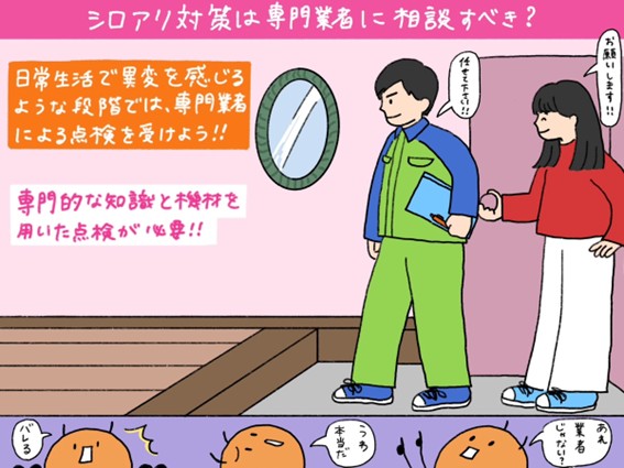 シロアリ対策は専門業者に相談すべき？」