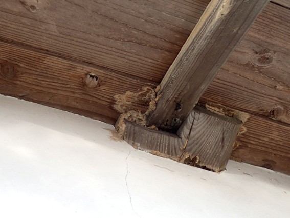 梁に付いたシロアリの蟻道