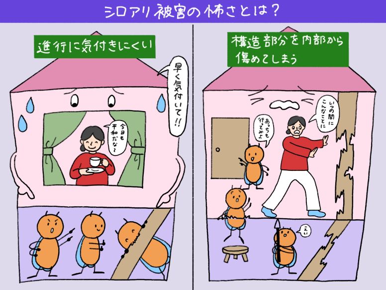 シロアリ対策の2大工法「バリア工法」「ベイト工法」