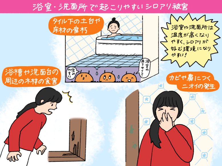浴室・洗面所で起こりやすいシロアリ被害