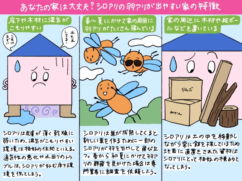 シロアリの羽アリが出やすい家の3つ特徴