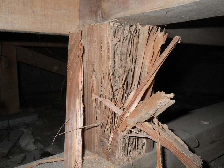 シロアリの食害にあった建物の柱