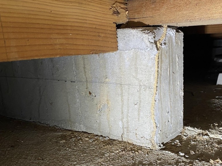 建物の土台に作られた蟻道