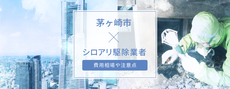 茅ヶ崎市✕シロアリ駆除 駆除費用の相場や注意点