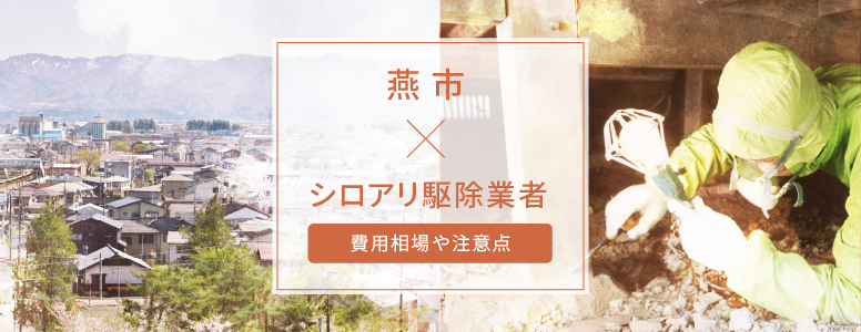 燕市 ✕ シロアリ駆除|駆除費用の相場や注意点