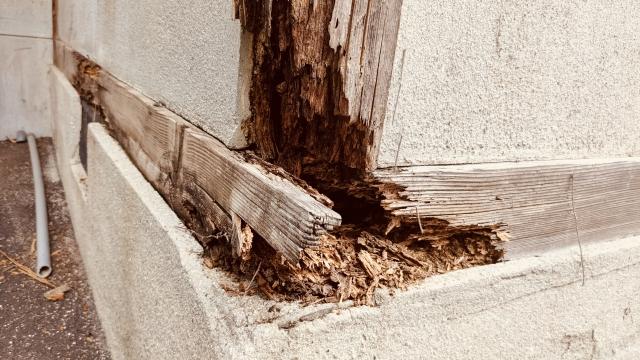 シロアリ被害にあった建物の柱