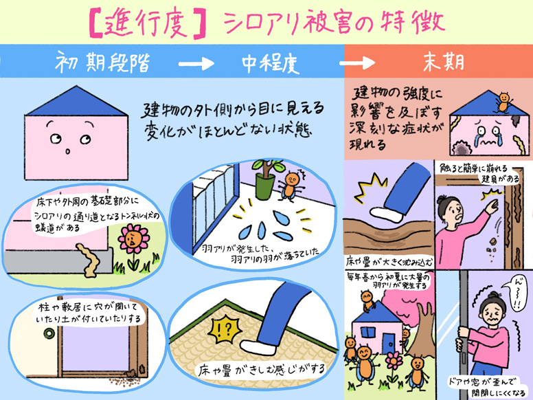 【進行度別】シロアリ被害の特徴