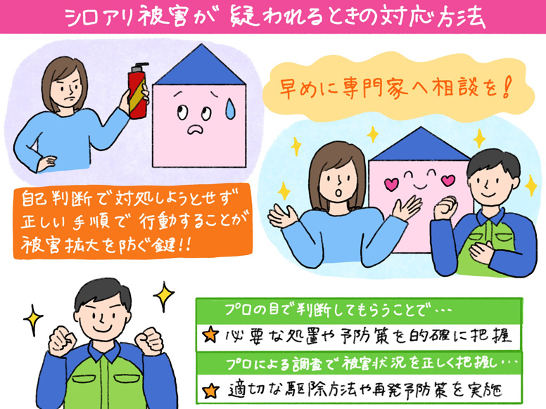 シロアリ被害が疑われるときの対応方法