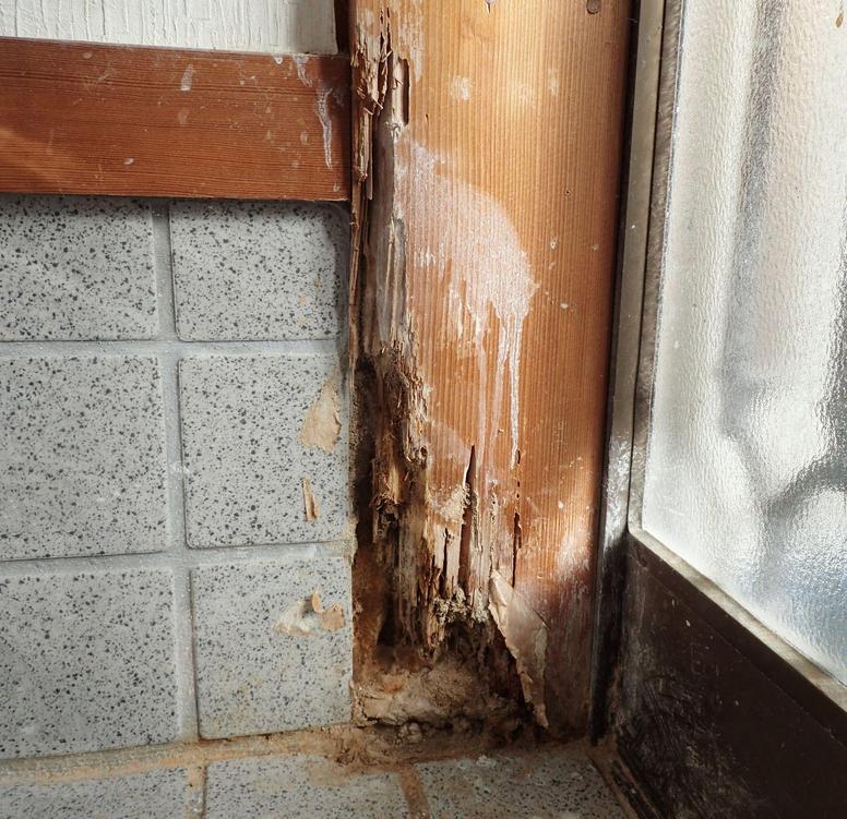 シロアリ被害にあった玄関
