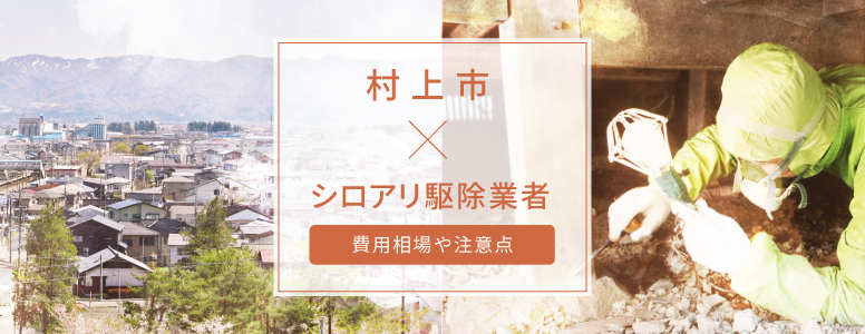 村上市✕シロアリ駆除 駆除費用の相場や注意点