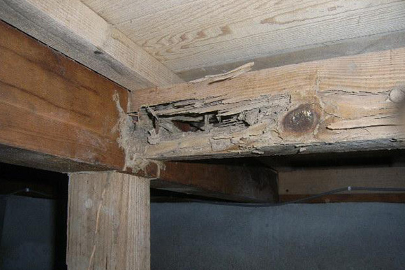 トイレの枠木の穴が気になって相談