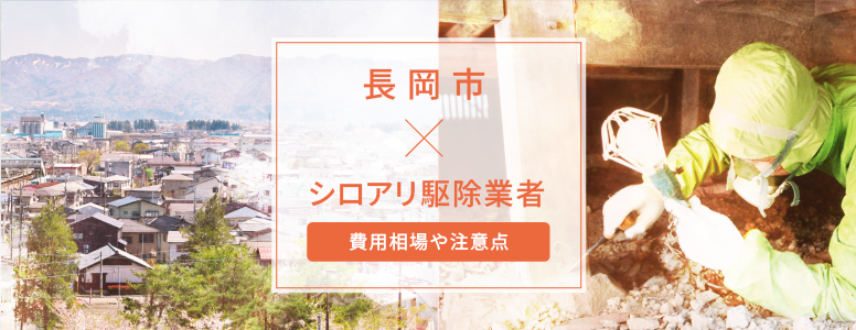 長岡市✕シロアリ駆除 駆除費用の相場や注意点