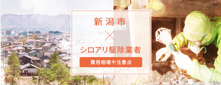 新潟市✕シロアリ駆除 駆除費用の相場や注意点