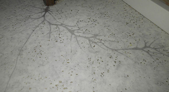 クッション材に浮き出た蟻道