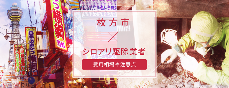 枚方市 ✕ シロアリ駆除|駆除費用の相場や注意点