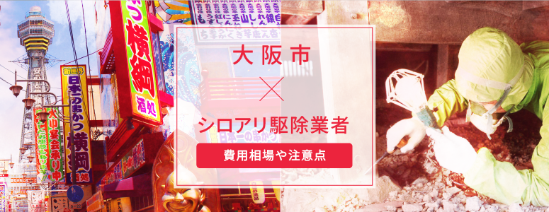 大阪市✕シロアリ駆除 駆除費用の相場や注意点
