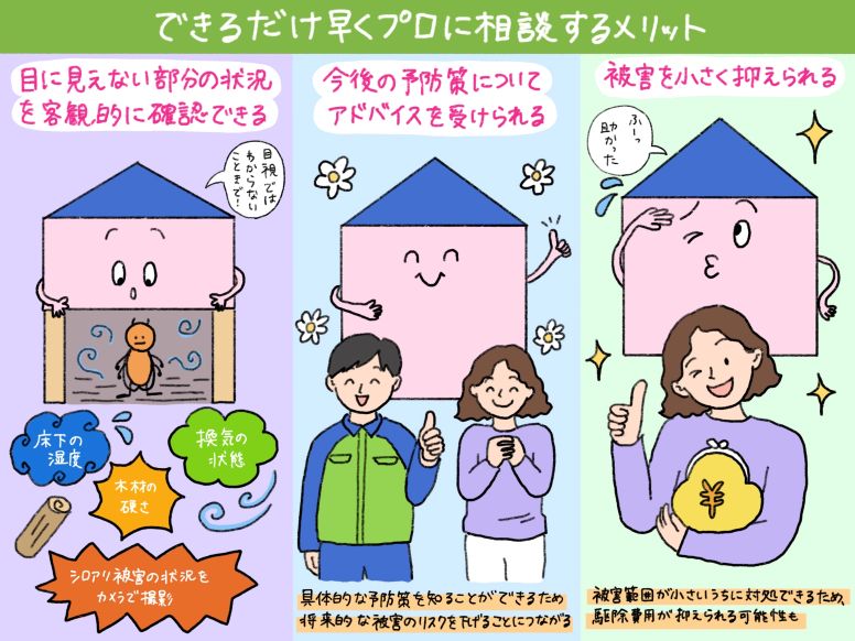 シロアリ被害をできるだけ早くプロに相談する主な3つのメリット
