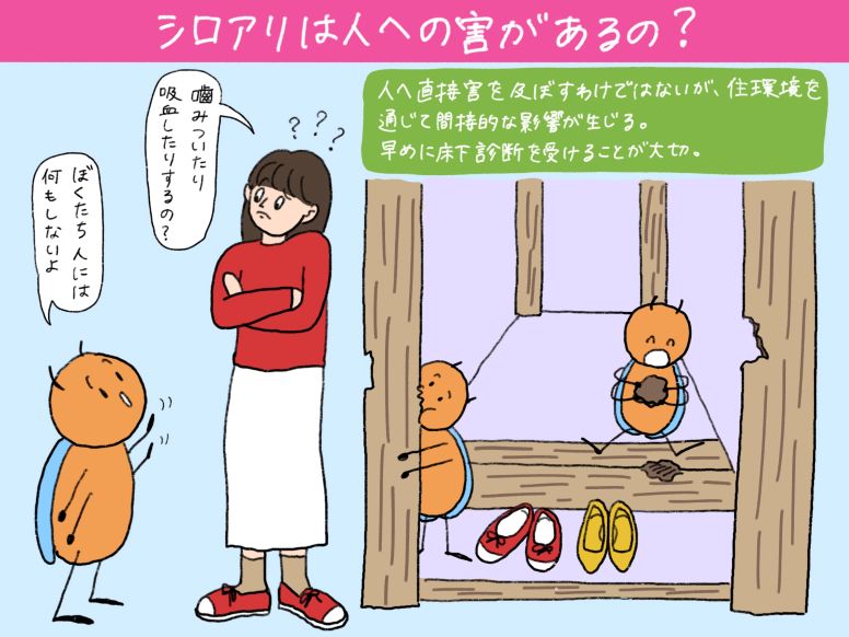 シロアリは人に害を与える？