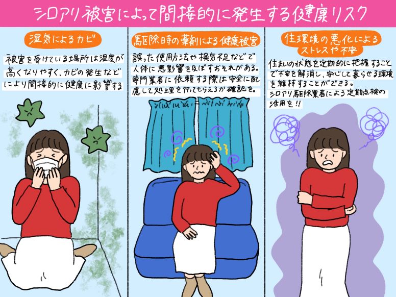 シロアリ被害によって間接的に発生する主な3つの健康リスク