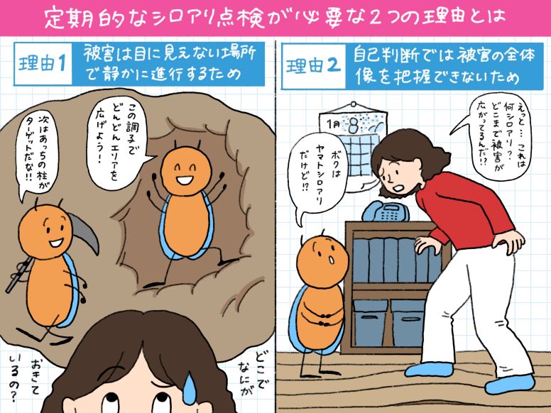 定期的なシロアリ点検が必要な2つの理由