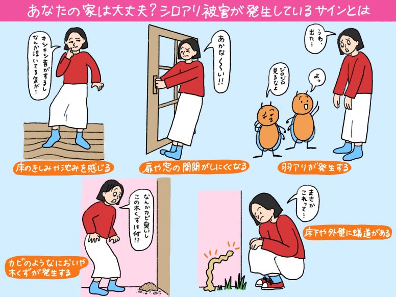 見逃してはいけないシロアリ被害が発生しているサインとは