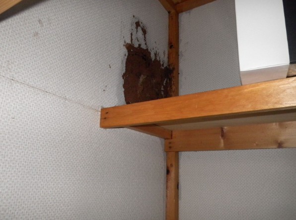 押し入れの蟻土