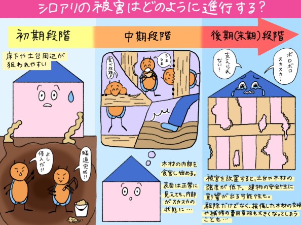 進行度別のシロアリ被害