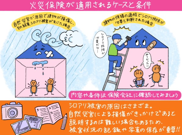 火災保険が適用されるケースと条件