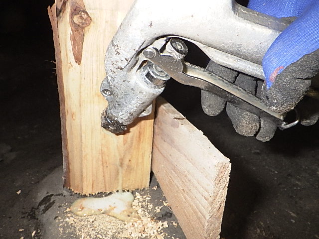 プロによるシロアリの駆除の様子