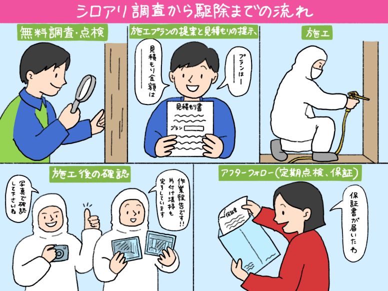 シロアリ調査から駆除までの流れ