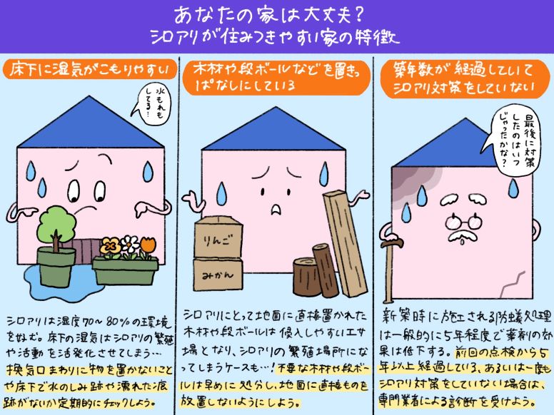 シロアリが住みつきやすい家の特徴