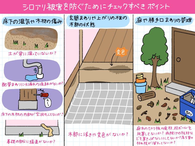 シロアリ被害を防ぐためにチェックすべき3つのポイント