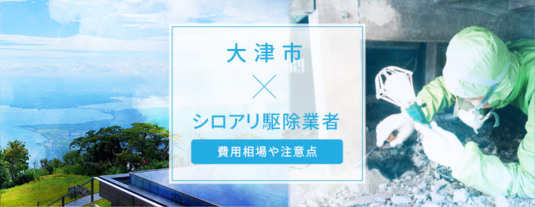 大津市✕シロアリ駆除 駆除費用の相場や注意点