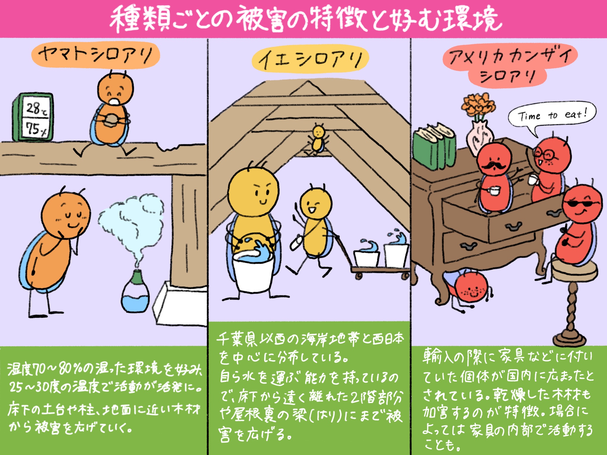 ヤマトシロアリ、イエシロアリ、アメリカカンザイシロアリの被害の特徴と好む環境