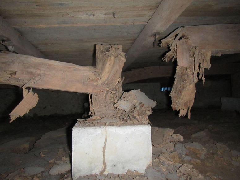 築35年で一度も防除したことがない住宅のシロアリ被害の様子