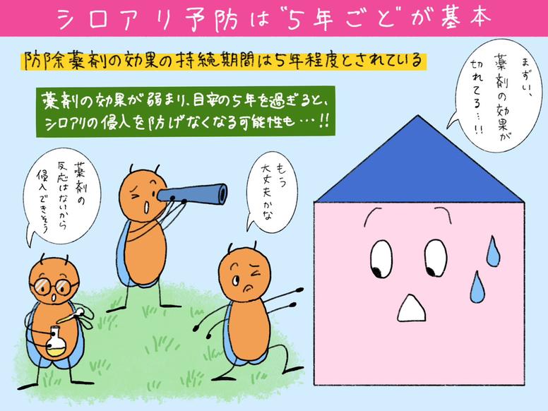 シロアリ予防は基本的に「5年ごと」