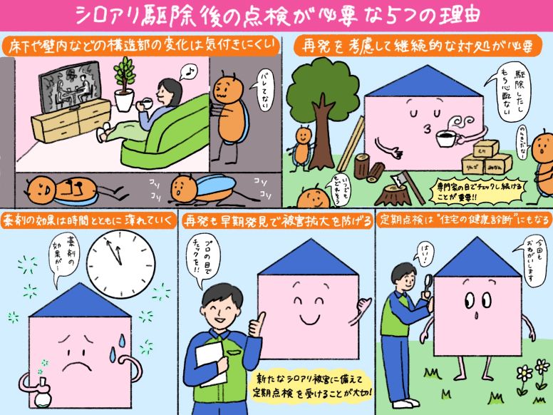 シロアリ駆除後の点検が必要な5つの理由
