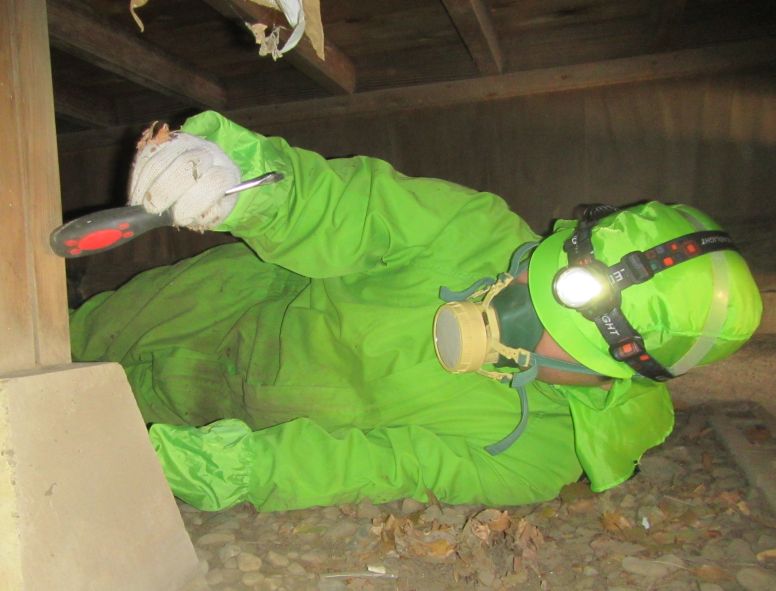 シロアリ駆除業者による再発防止のための対処の様子