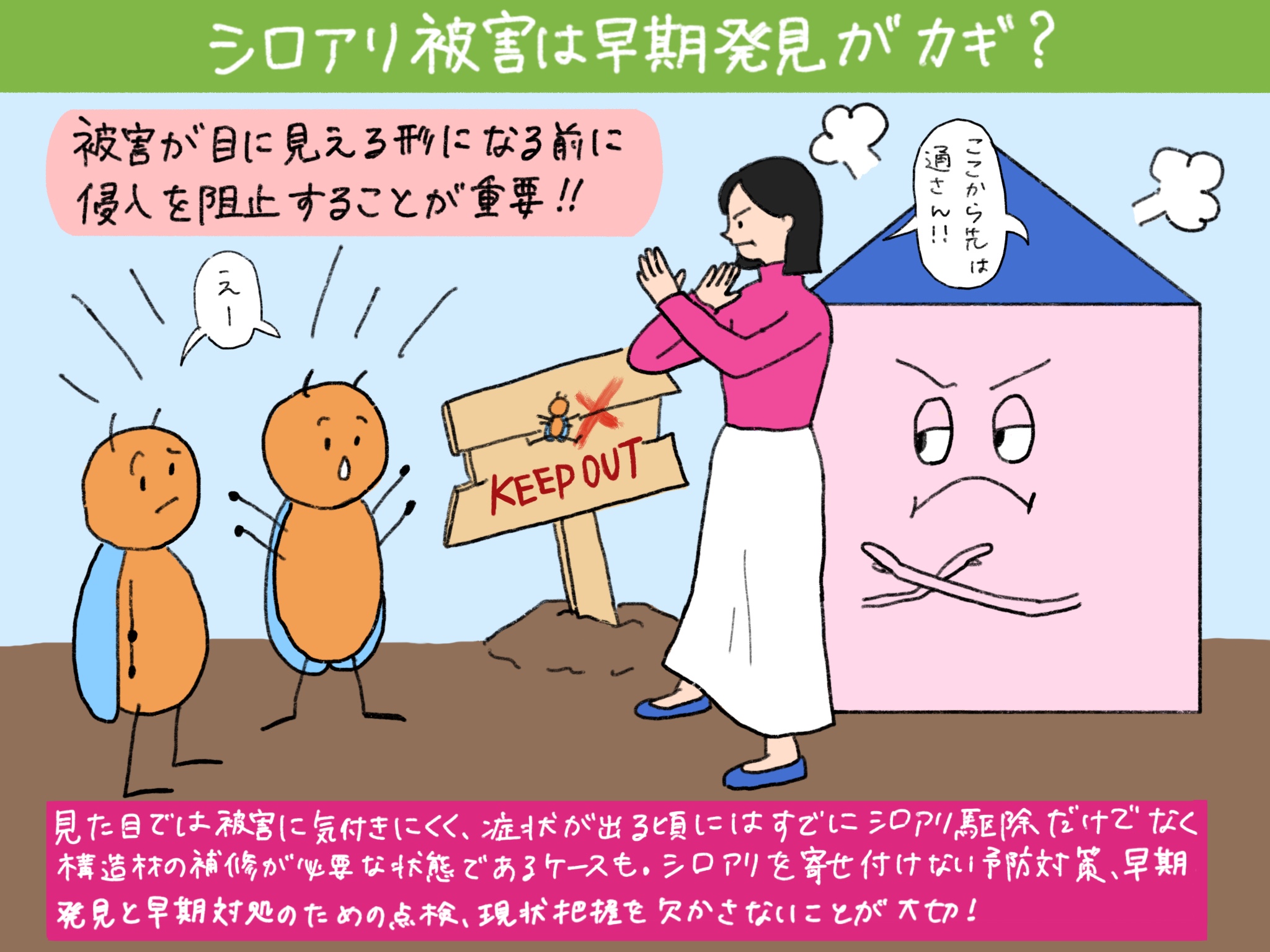 シロアリ被害は早期発見がカギ？