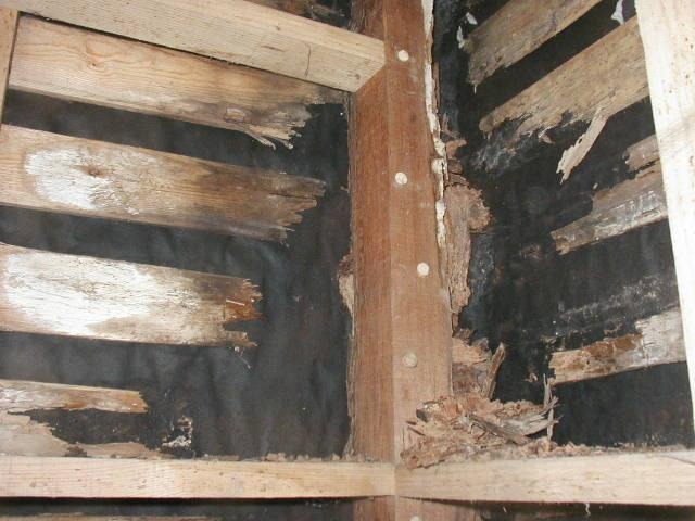 シロアリ被害を受けた建物の一部