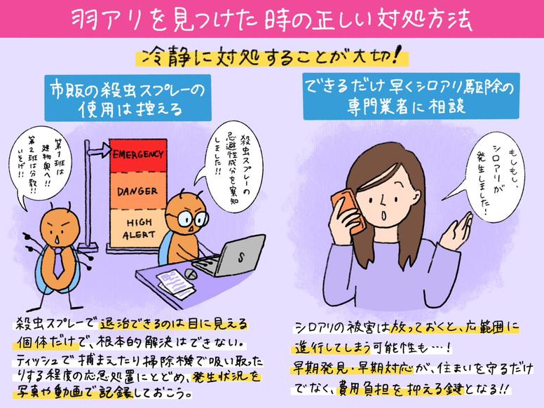 羽アリを見つけたときの正しい対処方法