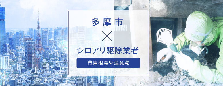 多摩市✕シロアリ駆除 駆除費用の相場や注意点